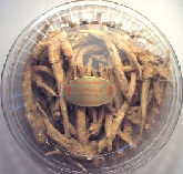 8 Ounce Package of Assorted Roots
