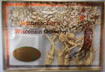 Wisconsin Ginseng Sampler Pack