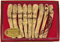 Long/Extra Large 4 Ounce Gift Box