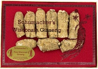Short/Extra Large 4 Ounce Gift Box