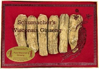 Half Short/Jumbo 4 Ounce Gift Box