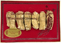 Short/Jumbo 4 Ounce Gift Box