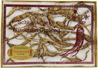 1 Ounce Gift Box of Medium/Small Wild Ginseng Roots (24 to 32 Roots Per Ounce)