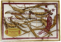 1 Ounce Gift Box of Medium Wild Ginseng Roots (14 to 20 Roots)